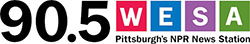 wesa logo
